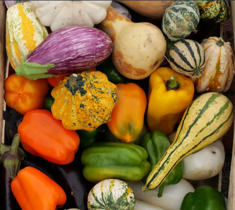 journées du potager